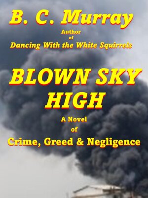 cover image of Blown Sky High